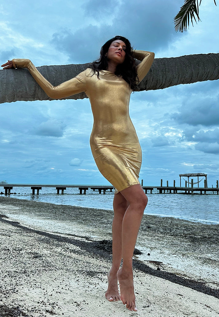 Champagne Gold Long Sleeve Sculpt Dress XL Champagne Gold Long Sleeve Sculpt Dress XL